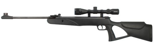 Carabine à plomb Diana Two-Sixty 4.5 mm - 19.9 Joules + lunette 3-9x42
