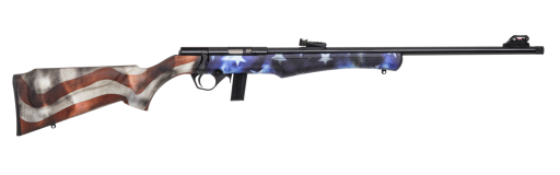 Carabine 22LR Rossi 8122 USA