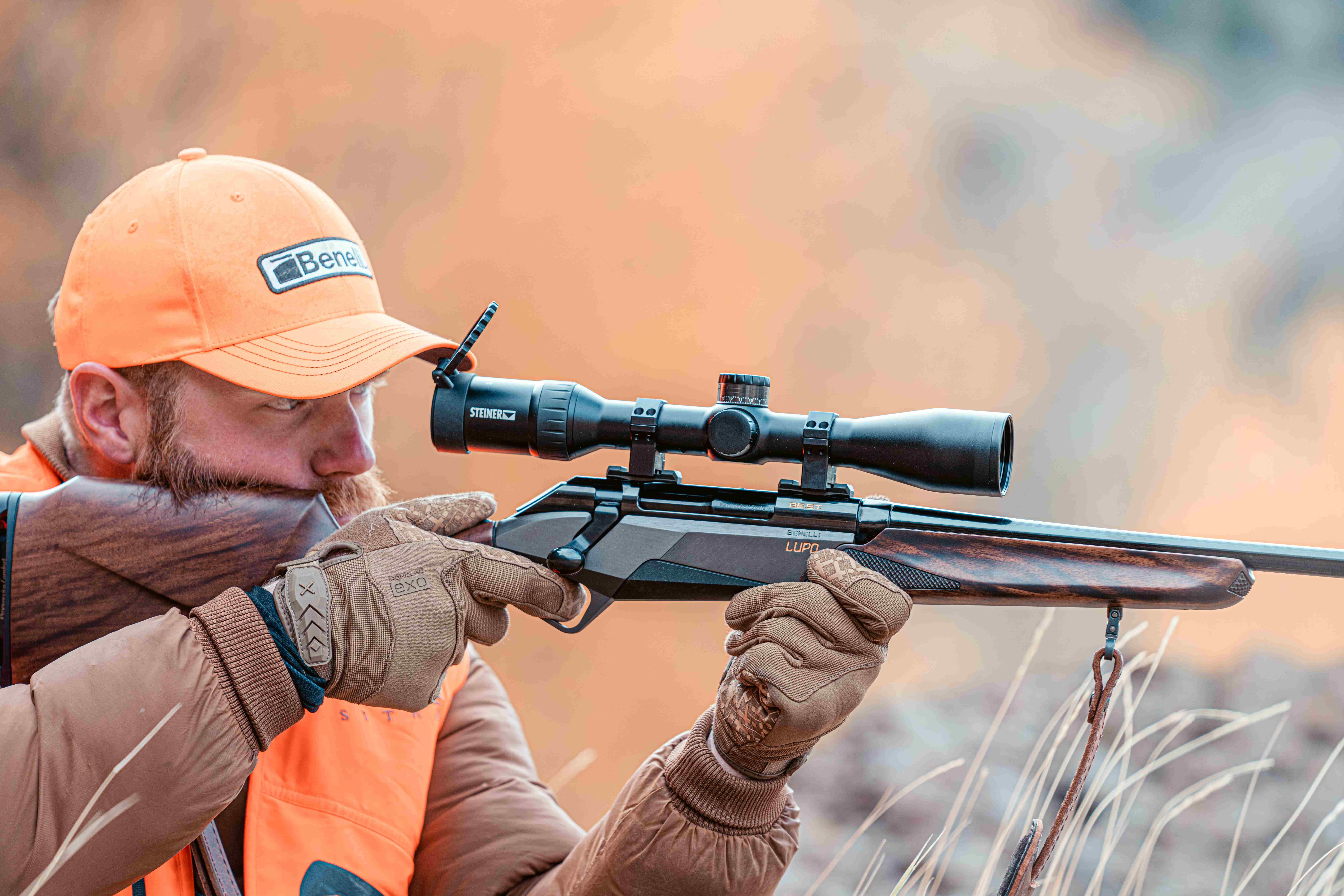 Ouverture de la Chasse 2025 : Dates, Règlementation et Espèces Chassables